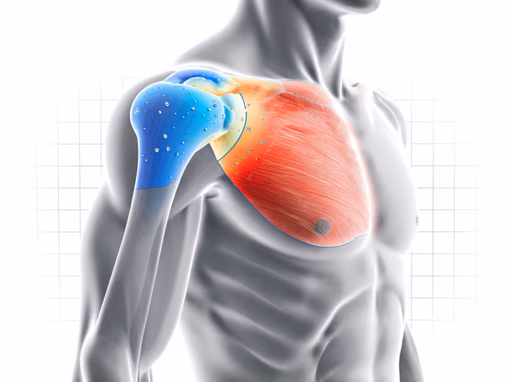 pressure_mapping_diagram_showing_high_stress_on_clavicle